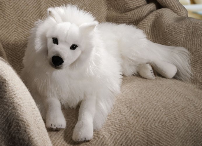 日本尖嘴犬